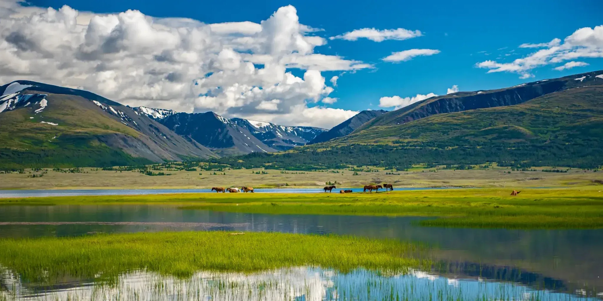 Fishing in Chorgo